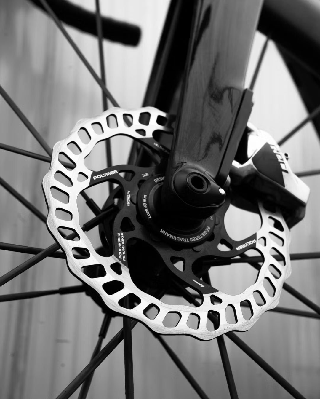 Polymer Workshop x Galfer Disc Wave Bremsscheibe