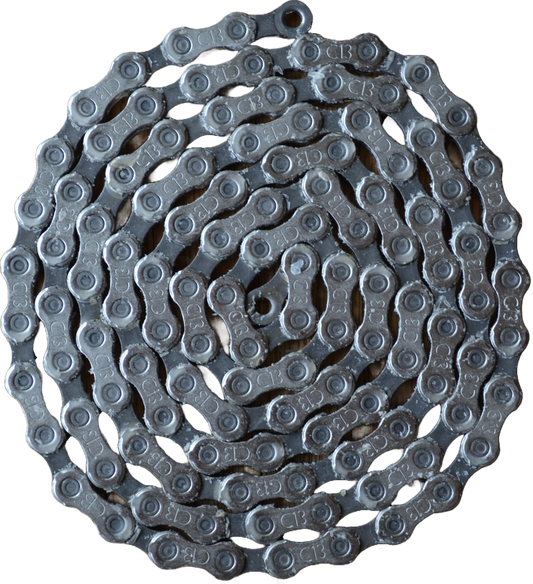 Campagnolo Ekar GT C13 13-fach Kette gewachst